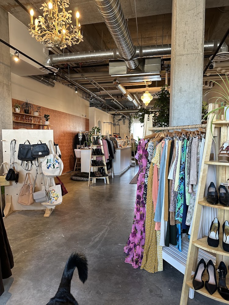 Article Apparels